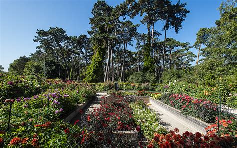   Le Jardin Botanique de Changzhou: Une Odyssée Florale et un Refuge Verdoyant !