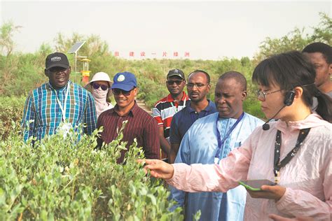 Le Jardin Botanique de Xinjiang ! Une oasis verdoyante en plein désert ?