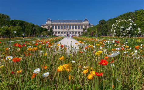  Le Jardin des Plantes : Un Oasis Botanique en Plein Cœur de Paris !